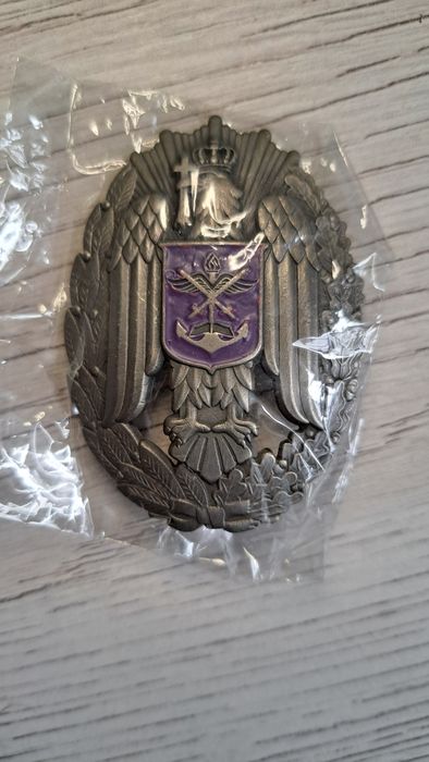 Insigna Academie Militara