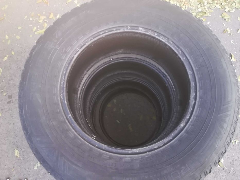 Шины Nokian Rotiiva