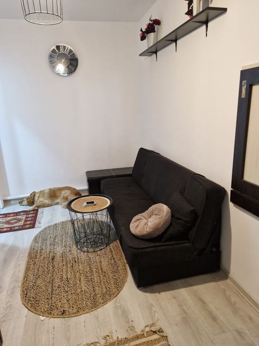 Apartament – Timisoara - Vedere 3