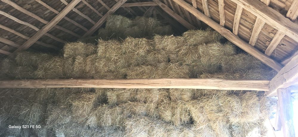 Baloti fan  de vanzare