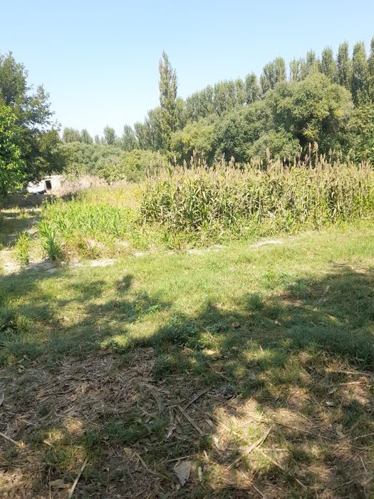 23 sõtix uy qura bõladi suv svet gaz bor