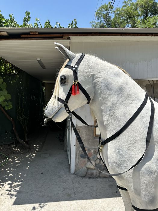 (Сотилади|Продается|Заказга|Бизнес|Ayiqlar|