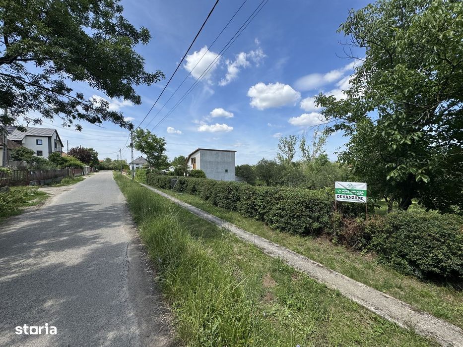Teren intravilan 14.5 ari Viile Satu Mare