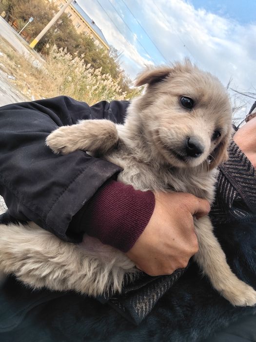Девочка 2 месяца