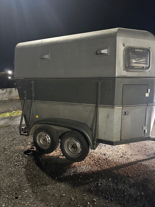 Коневозка в ХТС, 2-х местная, все целое