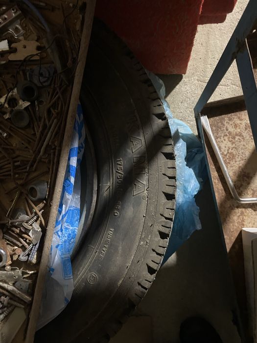 Нивага донгелек бар