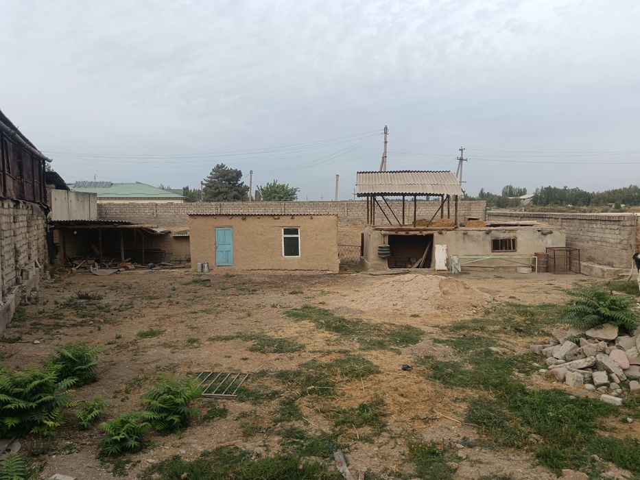 Ташкентское область юкори чирчикское районе Навоий махалля ближе город