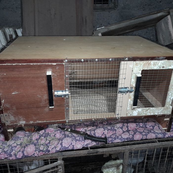 Продам  кроликов