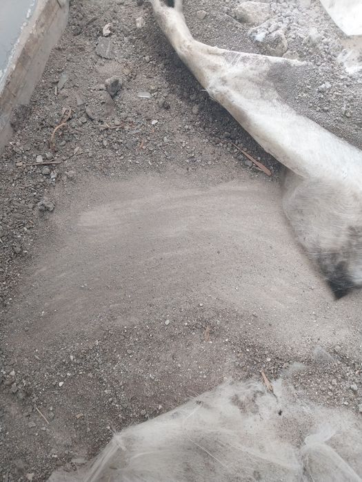 Хамалски услуги кърти чисти извозва