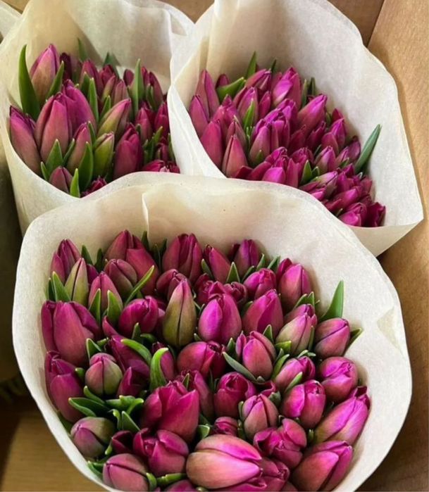 Тюльпаны на праздники в розницу
