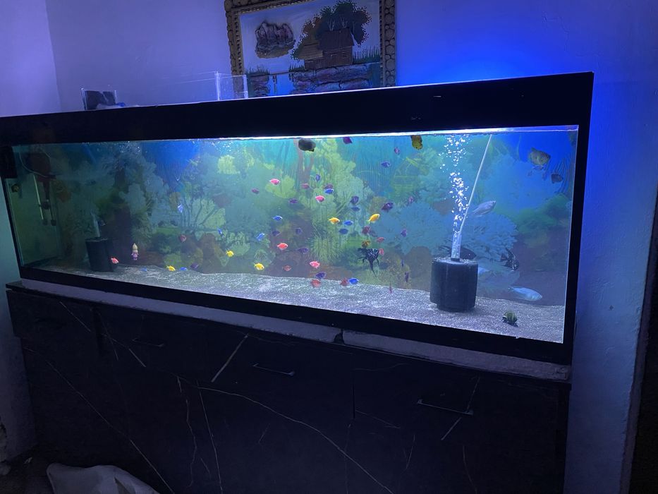 Аквариум сатылады