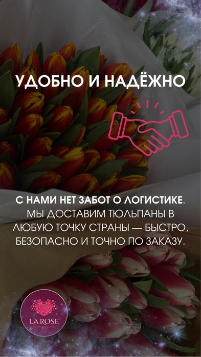 Премиальные тюльпаны оптом к 8 Марта