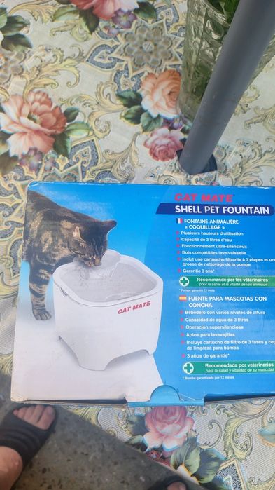 Bol apă pentru pisică
