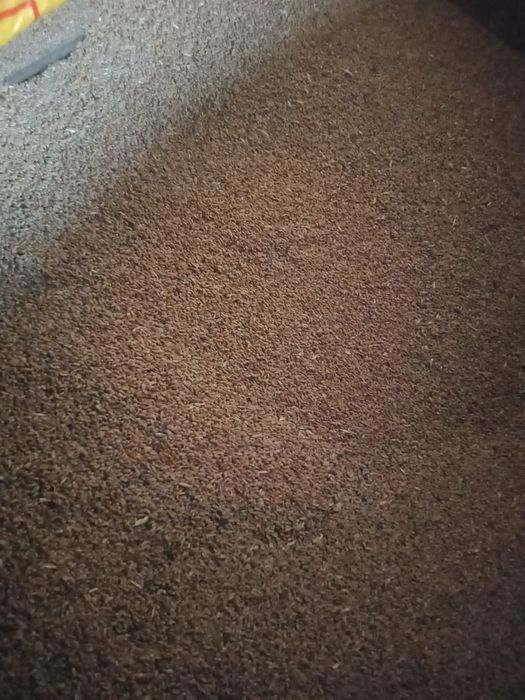 Продам пшиницу мешок 3.500