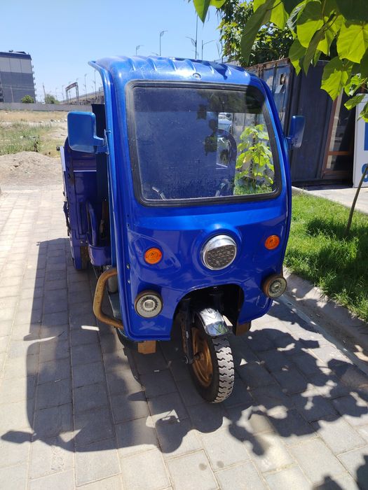 Электроника. Мураве
