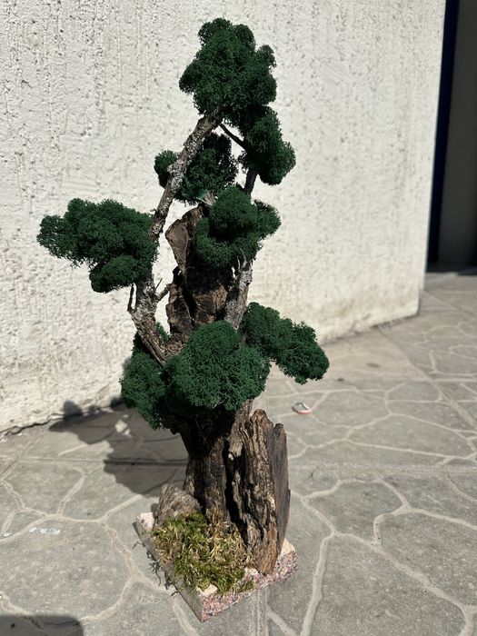 Продам искусственный бонсай