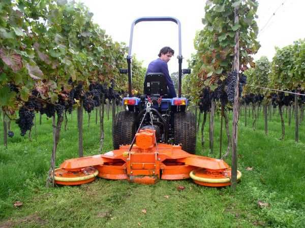 Cositori PERFECT pentru livadă și vie