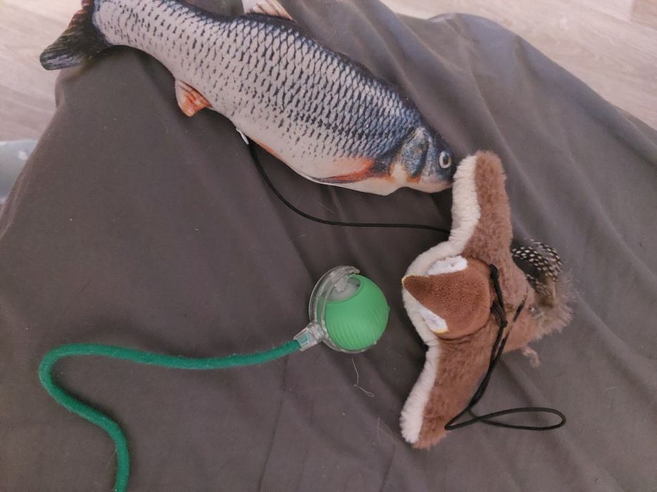 Домик и игрушки для кота