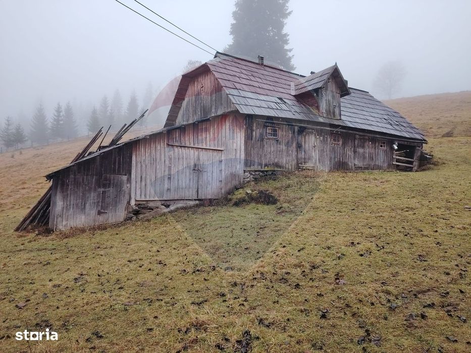 Teren intravilan 26232m.p. Dorna-Arini / Cozănești