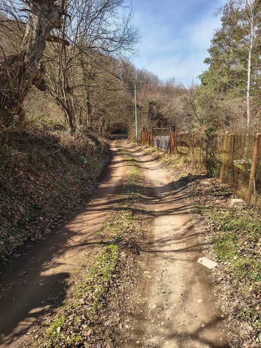 Панорамен парцел – Свидня в.з."Герова леска" ОТ СОБСТВЕНИК