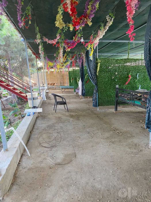 Dacha sotiladi To'dako'lda 30 sotix 150 000$