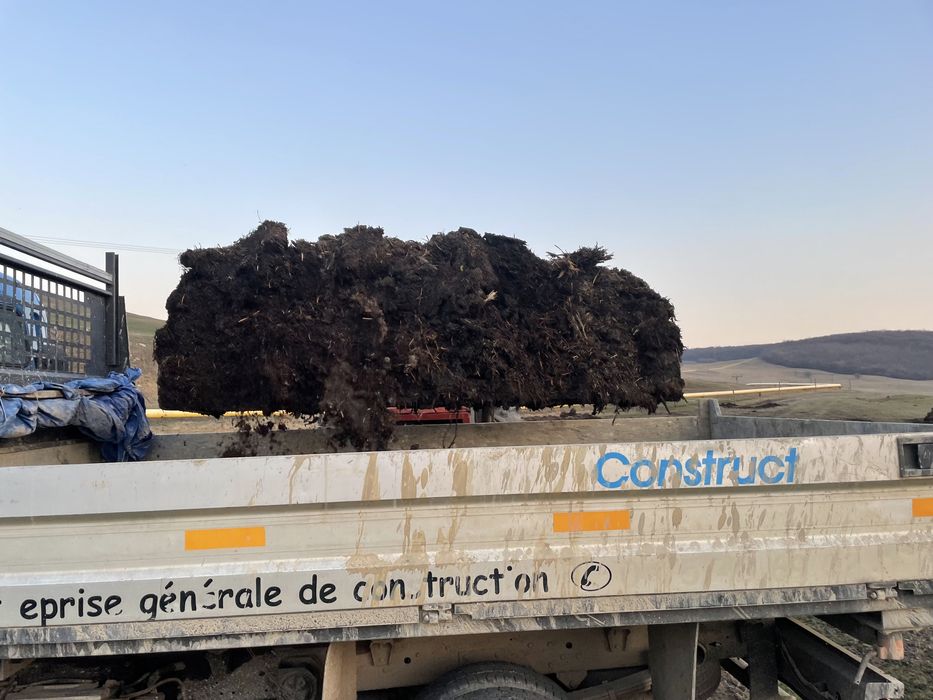 Gunoi vechi de grajd, ingrasamant natural