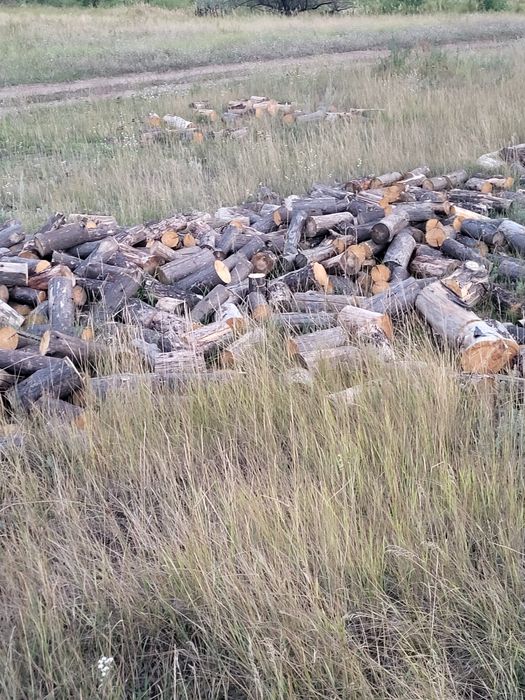 Дрова чурки  столбики жерди