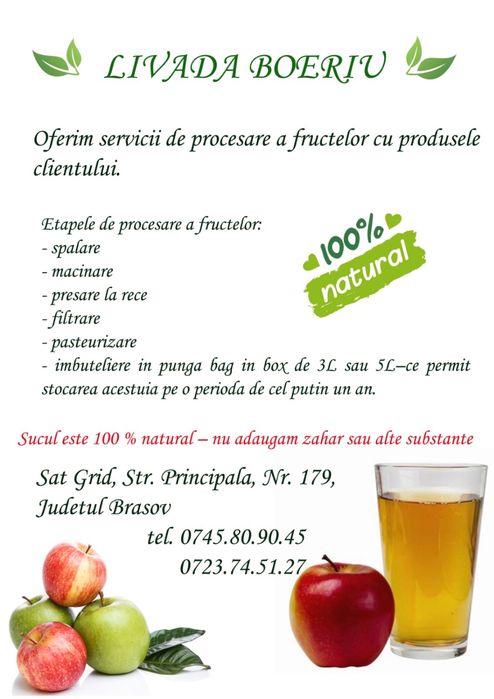 Servicii procesare FRUCTE pasteurizare sucuri