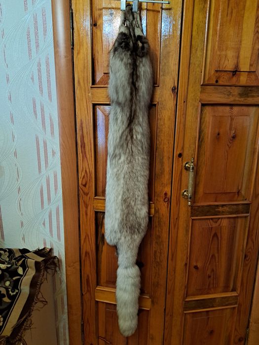 Мех песца (чулок)