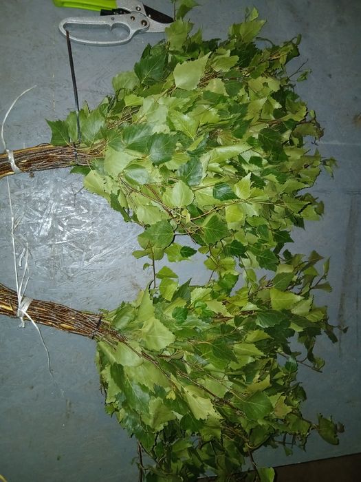 Продам банный берёзовый веник