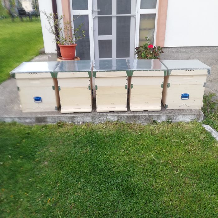 Stupi 10 rame cu cat 1/2