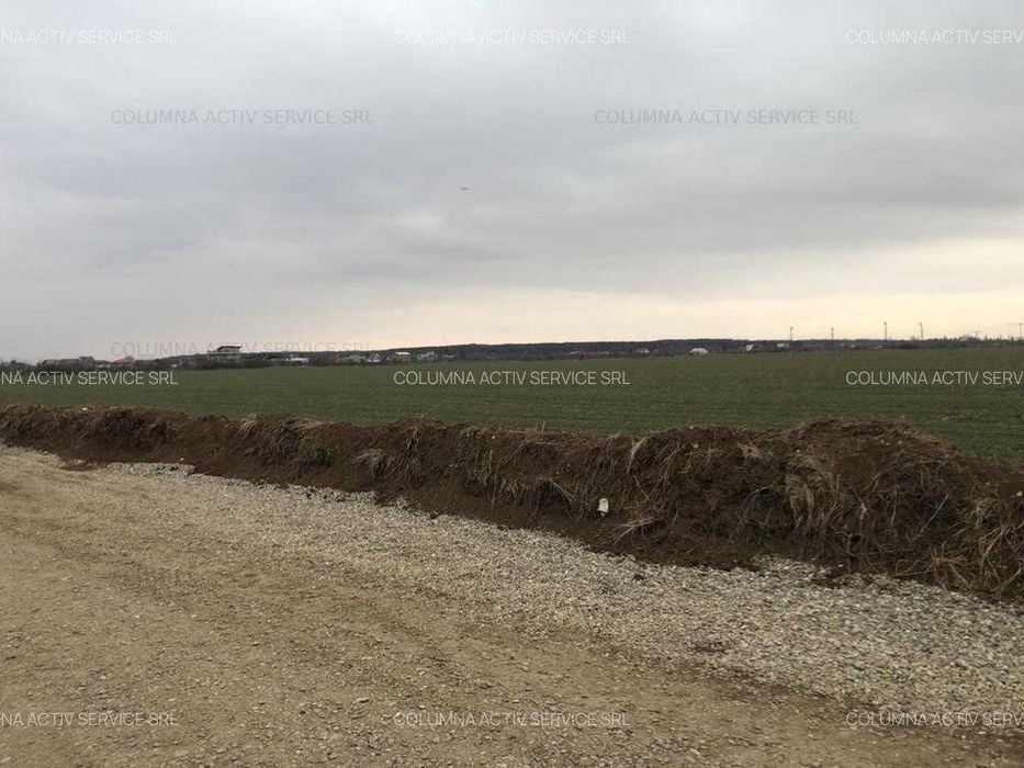Balotesti Albinelor 4600mp oportunitate