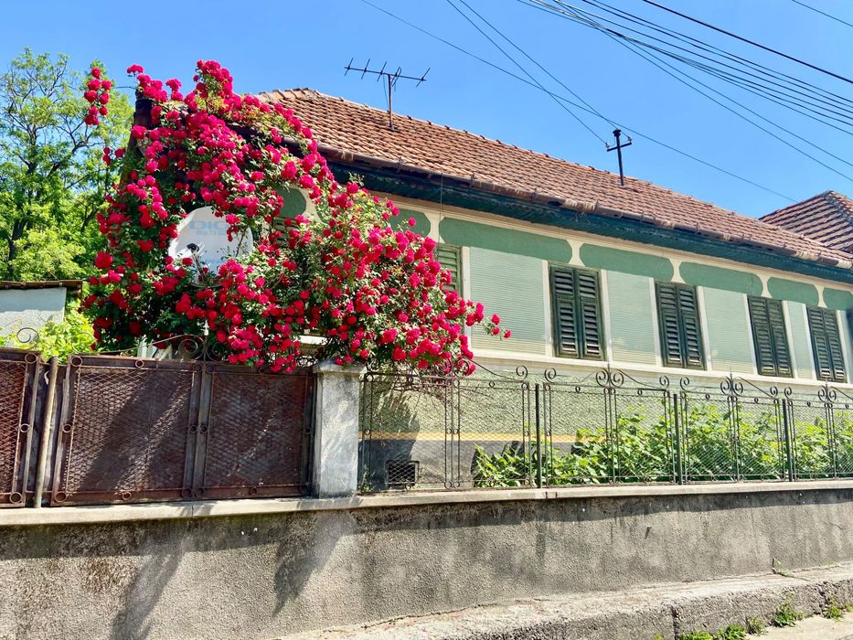 Vând casă la țară