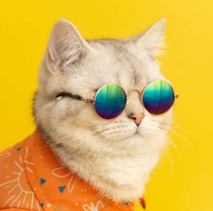 Очки для маленьких кошек и собак.