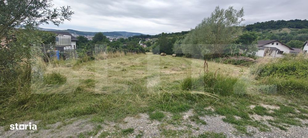 Teren intravilan 1.600 mp - Valea Budacului  -zona rezidentiala