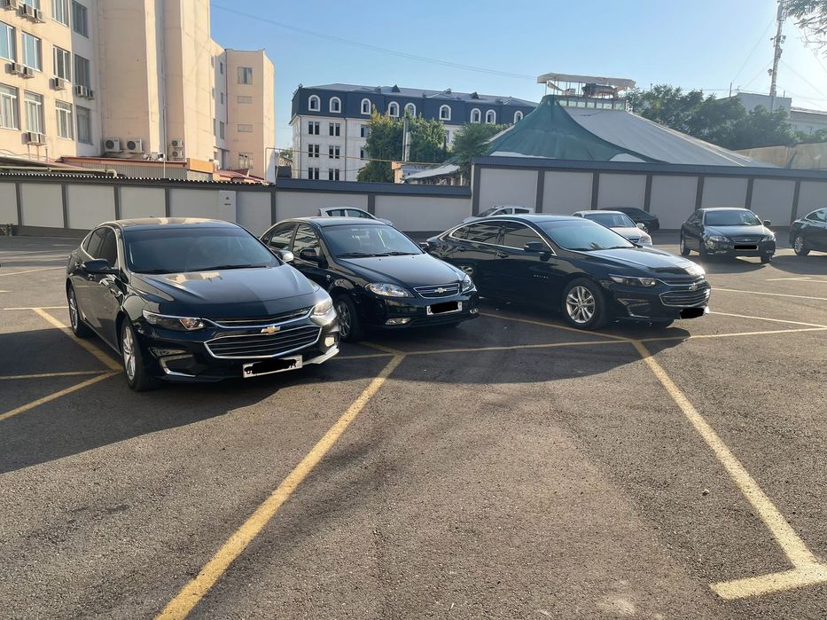 Авто прокат. Avto ijara. Rent a car