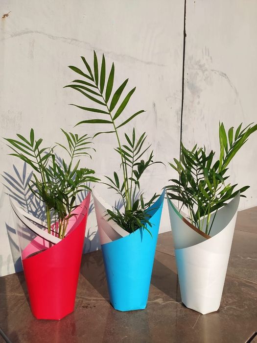 Хит Тойбастар/Бонбоньерки