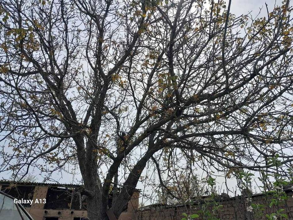 Продается дом с земельным  участком 12 соток.