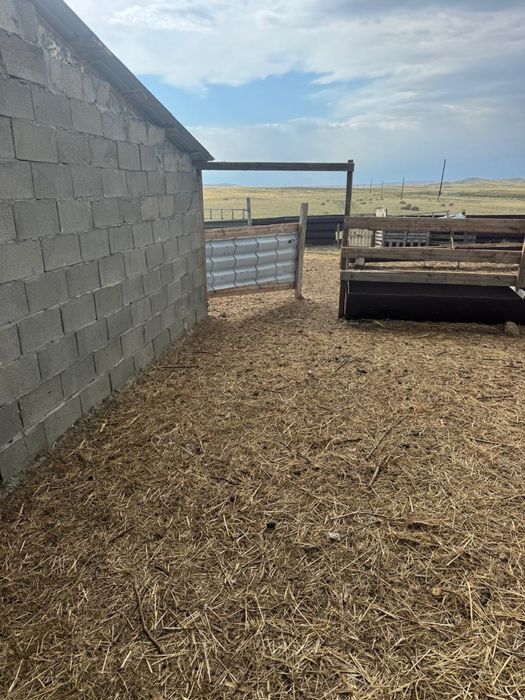 Жер қора жайымен сатылады