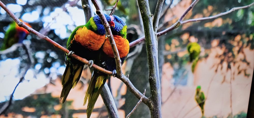 Продам телевизор