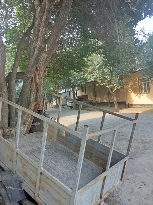 Prisep sotiladi holati orta