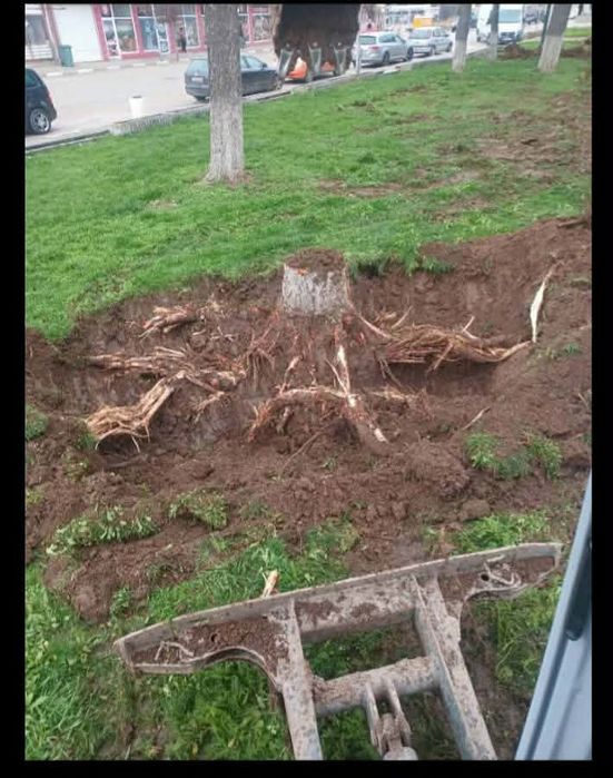 Услуги с мини Багер и Самосвал