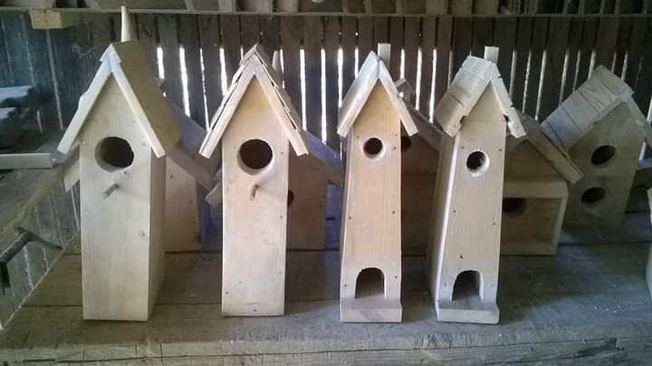Căsuțe pentru păsări