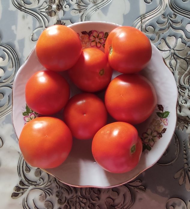 Продам помидоры...