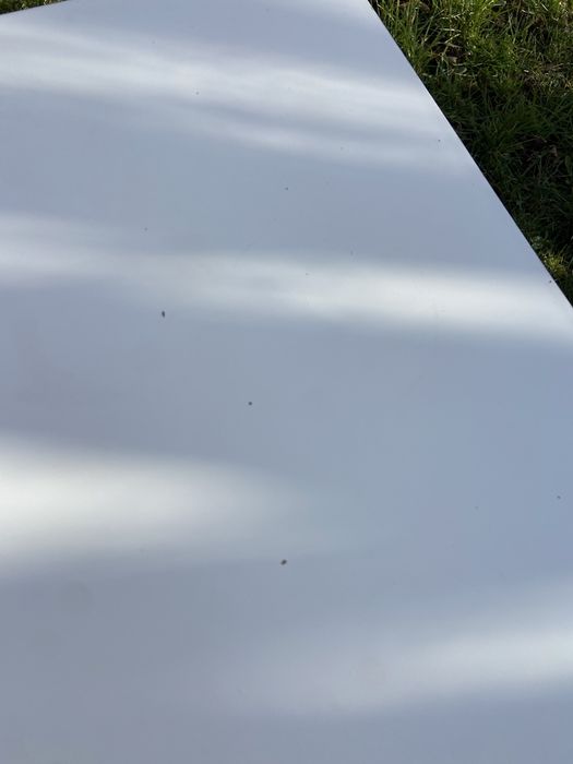 Бяла Холна Масичка