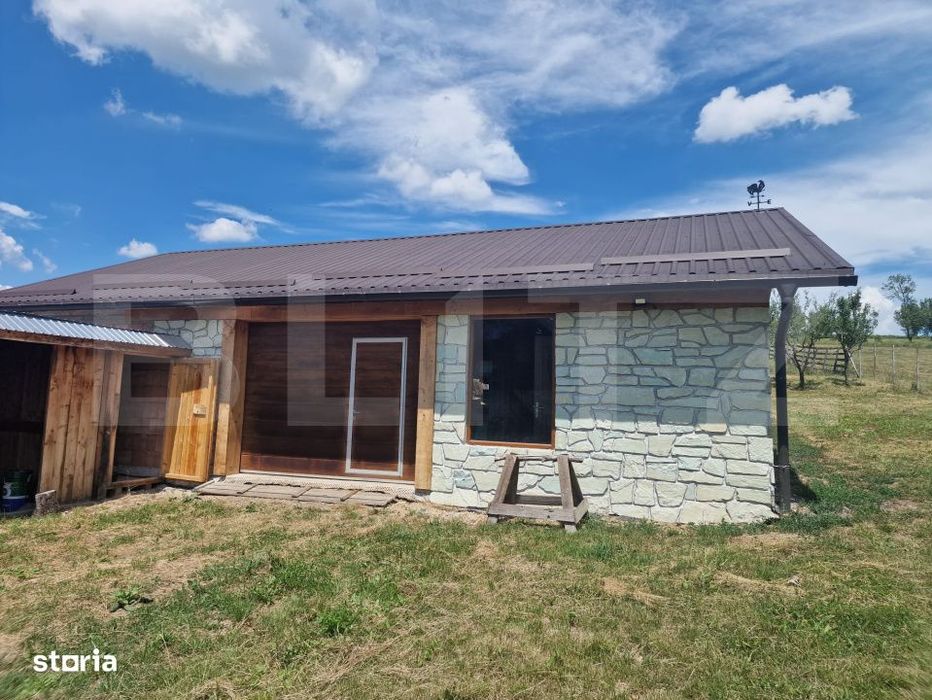 Casa cu 2 cladiri, foisor generos si teren de 3300 mp - Cornesti