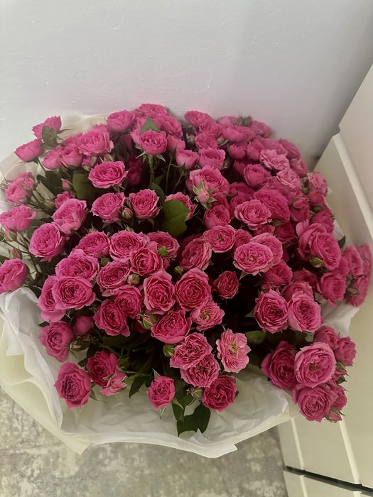 Продам цветы свежие