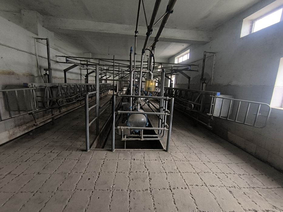 Sut sogʻadgan aparat holat zoʻr