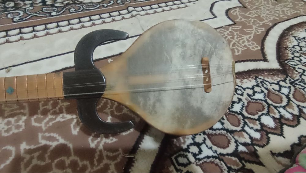 Rubob sotiladii arzon narxda