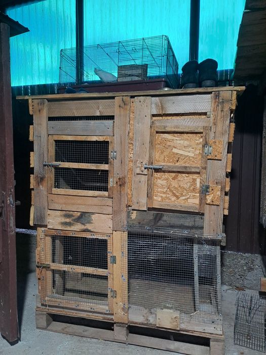 Cușcă pentru iepuri